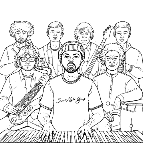 Secret Night Gang [Vinyl LP] von BROWNSWOOD RECOR