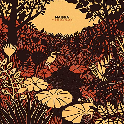 There Is a Place [Vinyl LP] von BROWNSWOOD RECOR