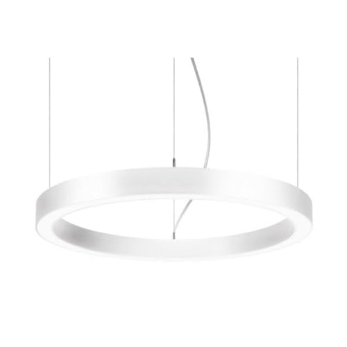 LED-Pendel-Ringleuchte 3000K, D=1200mm BRUMBERG 13643173 von BRUMBERG