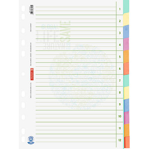 BRUNNEN Ordnerregister Recycling Vollformat blanko beige 12-teilig, 1 St. von BRUNNEN