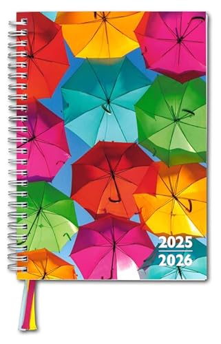F&L Kompaktplaner für Erzieherinnen und Erzieher Ausgabe 2025-2026, DIN A5 von BSN Spremberg