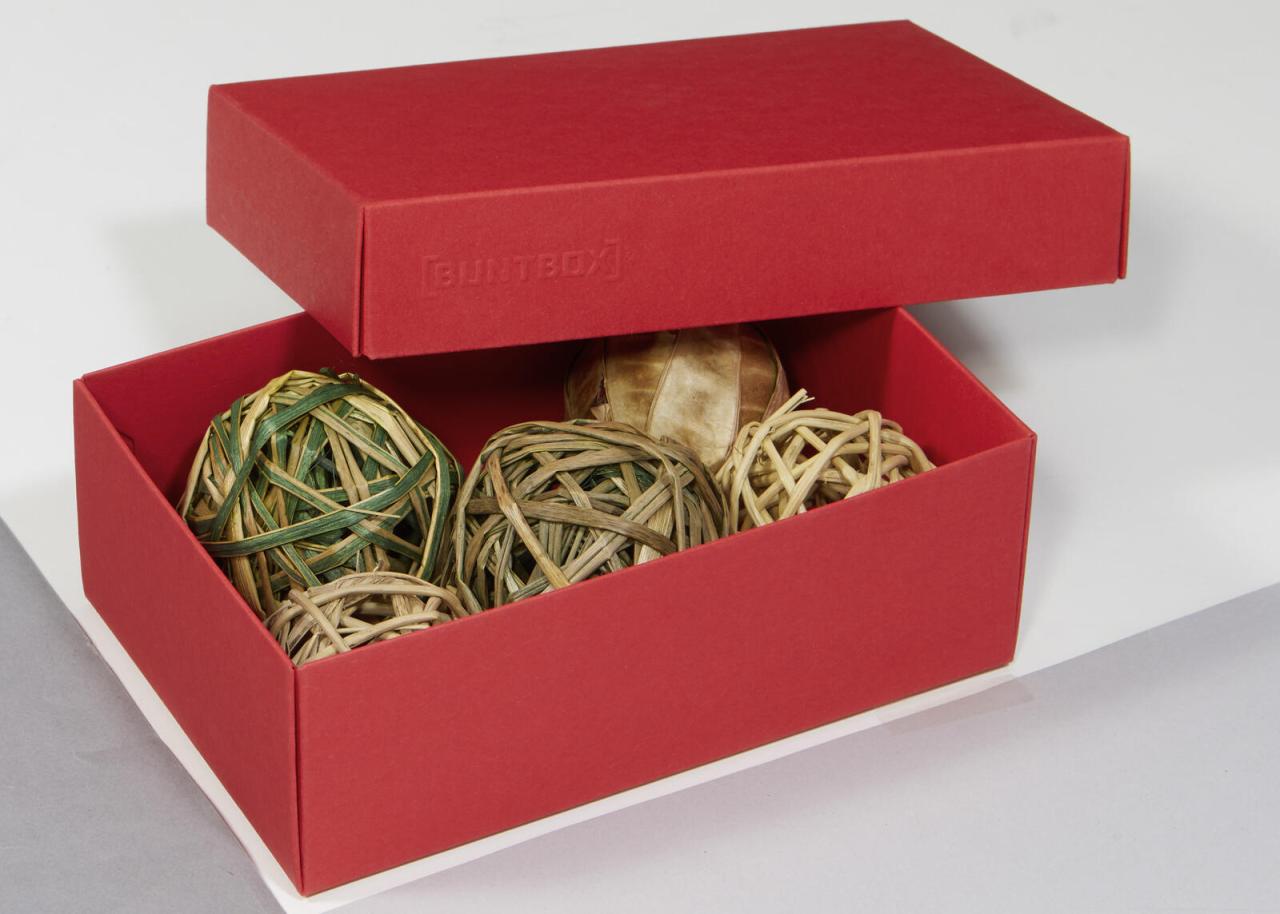 BUNTBOX Geschenkboxen Buntbox Geschenkbox M rot 3St 1,1 l - 17,0 x 11,0 x 6,0... von BUNTBOX