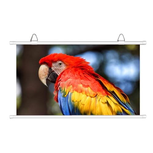 Einziehbare Projektionsleinwand, Herunterziehbare Manuelle Projektionsleinwand, Knitterfrei, Leicht, Mit Tragetasche, HD-Filmleinwand, Wand-/Deckenmontage(72"(4:3)) von BVDHASDBT