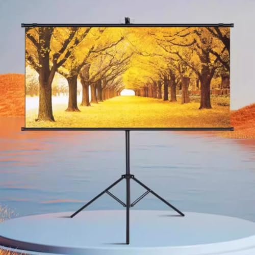 Manuelle herunterziehbare Projektor-Leinwand, Projektor-Film-Leinwand, faltenfrei, leicht, Wand-/Deckenmontage, perfekt für Heimbüro, Theater, Fernseher (152,4 cm) von BVDHASDBT