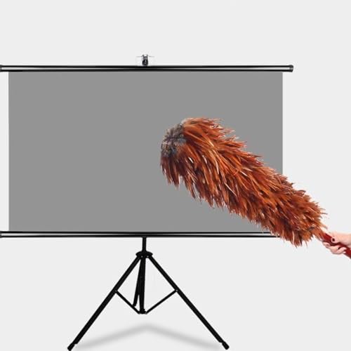 Projektor-Leinwand mit Ständer, tragbarer Projektor-Film-Leinwand, Wand-/Deckenmontage, tragbarer Projektor-Leinwand, perfekt für Heimbüro, Theater, Fernseher (152,4 cm (60 Zoll) (16:9)) von BVDHASDBT