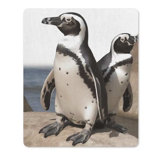 Quadratisches Mauspad mit rutschfester Gummiunterseite, geeignet für afrikanischen Pinguin, bequemes Mauspad für E-Sport, Gaming, Büros Quadratisches Mauspad mit rutschfester Gummiunterseite, geeignet für afrikanischen Pinguin, bequemes Mauspad für E-Sport, Gaming, Büros von BWQMNT
