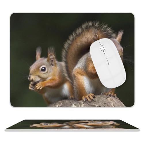 Quadratisches Mauspad, Eichhörnchen, Tierleder, rutschfeste Gummiunterseite, kleines Mauspad (20,3 x 25,4 cm) von BWQSKL