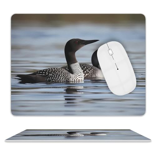Quadratisches Mauspad, Loon Birds Leder-Mauspads, rutschfeste Gummiunterseite, kleines Mauspad (20,3 x 25,4 cm) von BWQSKL