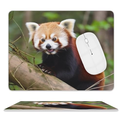 Quadratisches Mauspad, kleiner roter Panda, Leder-Mauspads, rutschfeste Gummiunterseite, kleines Mauspad (20,3 x 25,4 cm) von BWQSKL