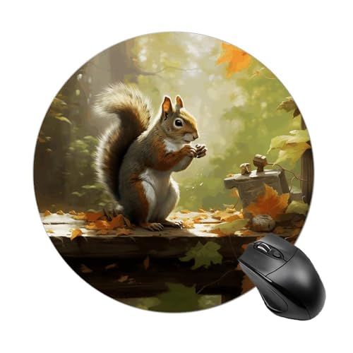 Rundes Mauspad, kleines Mauspad, Mauspad mit Eichhörnchen isst Nüsse, rutschfeste Gummiunterseite für kabellose Maus, Gaming-Arbeit Rundes Mauspad, kleines Mauspad, Mauspad mit Eichhörnchen isst Nüsse, rutschfeste Gummiunterseite für kabellose Maus, Gaming-Arbeit von BWQSKL