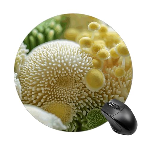Rundes Mauspad, kleines Mauspad, Mauspad mit Knospen von Pilzen, rutschfeste Gummiunterseite für kabellose Maus, Gaming, Arbeit Rundes Mauspad, kleines Mauspad, Mauspad mit Knospen von Pilzen, rutschfeste Gummiunterseite für kabellose Maus, Gaming, Arbeit von BWQSKL