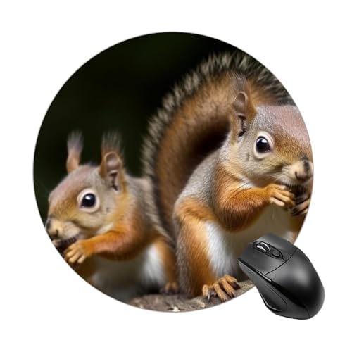 Rundes Mauspad, kleines Mauspad mit Eichhörnchen, Tiermotiv, rutschfeste Gummiunterseite für kabellose Maus, Gaming, Arbeit Rundes Mauspad, kleines Mauspad mit Eichhörnchen, Tiermotiv, rutschfeste Gummiunterseite für kabellose Maus, Gaming, Arbeit von BWQSKL