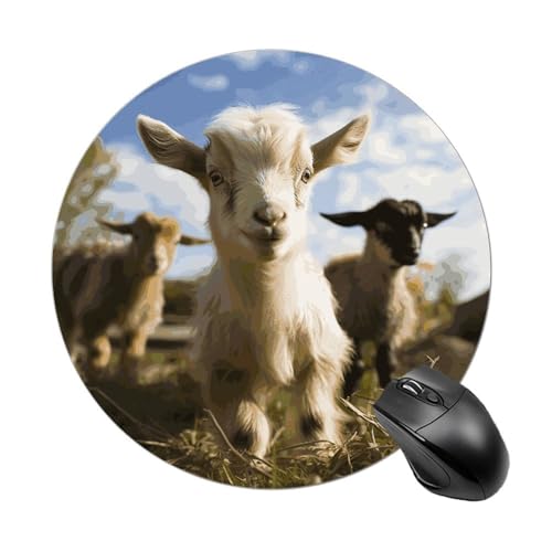 Rundes Mauspad, kleines Mauspad mit niedlicher Ziege, rutschfeste Gummiunterseite für kabellose Maus, Gaming-Arbeit Rundes Mauspad, kleines Mauspad mit niedlicher Ziege, rutschfeste Gummiunterseite für kabellose Maus, Gaming-Arbeit von BWQSKL