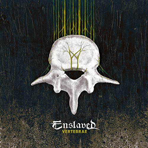 Vertebrae Vertebrae von BY NORSE MUSIC