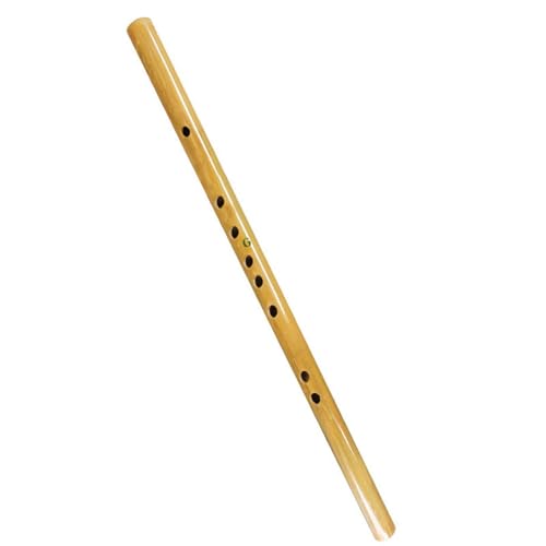 Bitter Bambus-Sechs-Loch-Blockflöte, 6-Loch-GF-Taste, Schülerinstrument, Anfänger, Erwachsener, Einstieg, Bambusflöte Bambusflöte professionelles (Color : F key+teaching material) von BYBIO