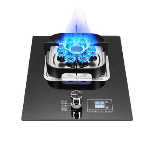 BZJPRFC Gasherd, Einzelbrenner, 5,2 KW Camping-Gaskocher, Gas/LP-Gas-Umwandlungsherd,Mit Flammendurchschlagschutz Und Timer, for Die Küche Zu Hause(LPG) von BZJPRFC