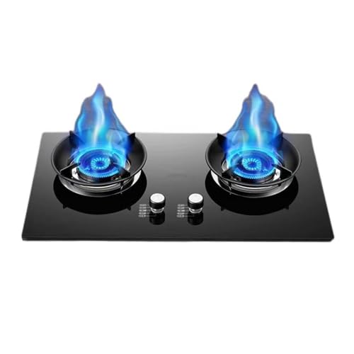 BZJPRFC Gasherd, Mit 2 Brennern, 5,0-kW-Camping-Gaskocher, Topflappen Aus Gehärtetem Glas Aus Gusseisen, Mit Flammendurchschlagschutz, for Das Wohnmobil-Camping Zu Hause(NG) von BZJPRFC