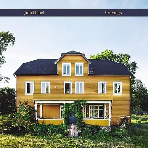 Carvings [Vinyl LP] von Ba Da Bing