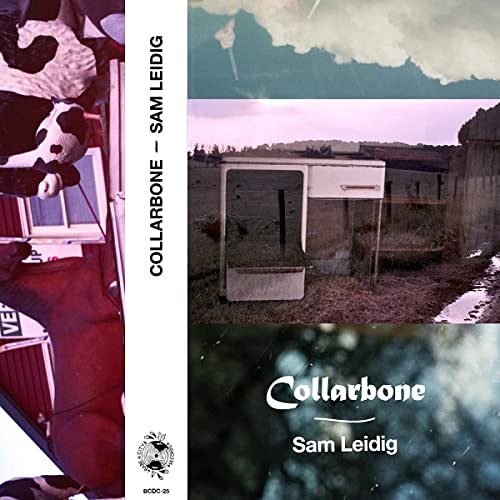Collarbone [Musikkassette] von Babe City Records