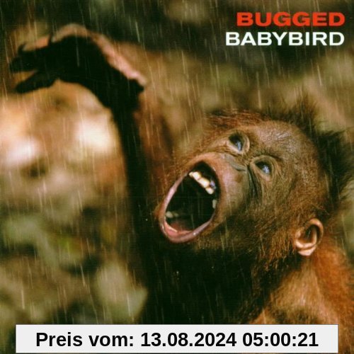 Bugged von Babybird