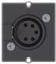 Bachmann Custom Module 1 x XLR socket - Modulares Faceplate-Snap-In - XLR (5 pole) - Schwarz (917.101) von Bachmann
