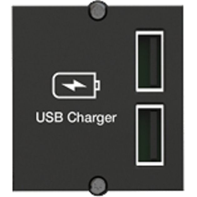 Custom Modul USB-Charger, 2x USB-A, Ladegerät von Bachmann