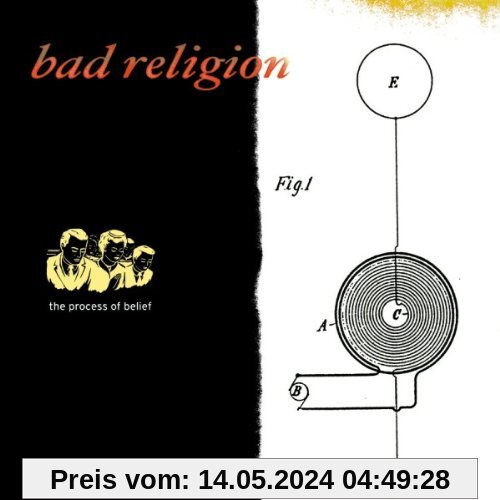 The Process of Belief von Bad Religion