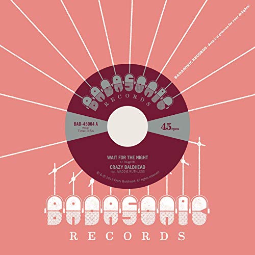 Wait for the Night (Feat. Maddie Ruthless) [Vinyl Single] von Badasonic Records (Broken Silence)
