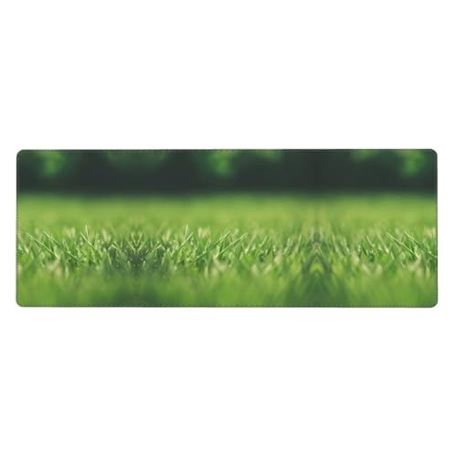 Großes HD-Mauspad mit Naturdruck, 30 x 80 cm, Gaming-Schreibtischmatte, erweiterter Schutz für Zuhause, Büro, Computer, Laptop von BaerK