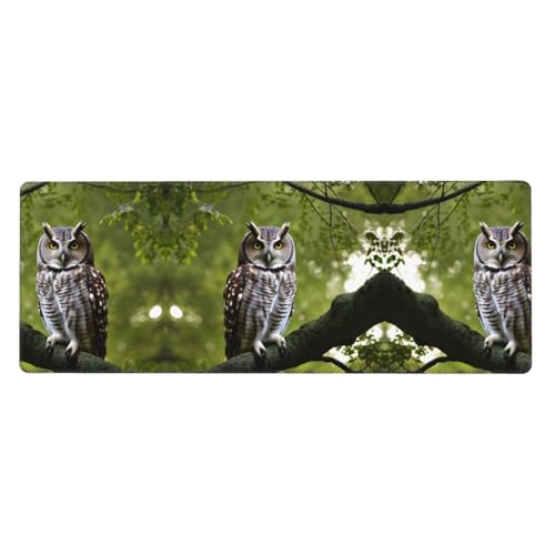 Großes Mauspad mit Eulen-Motiv, 30 x 80 cm, Gaming-Schreibtischmatte, erweiterter Schutz für Zuhause, Büro, Computer, Laptop Großes Mauspad mit Eulen-Motiv, 30 x 80 cm, Gaming-Schreibtischmatte, erweiterter Schutz für Zuhause, Büro, Computer, Laptop von BaerK