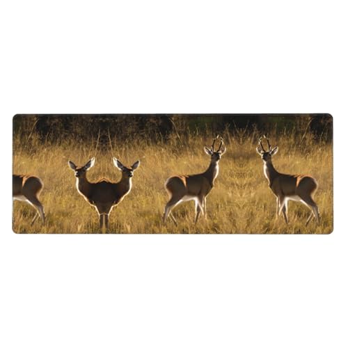 Großes Mauspad mit niedlichem Hirschdruck, 30 x 80 cm, Gaming-Schreibtischmatte, erweiterter Schutz für Zuhause, Büro, Computer, Laptop Großes Mauspad mit niedlichem Hirschdruck, 30 x 80 cm, Gaming-Schreibtischmatte, erweiterter Schutz für Zuhause, Büro, Computer, Laptop von BaerK
