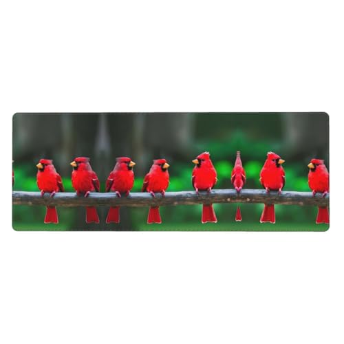 Großes Mauspad mit niedlichem Vogelmotiv, 30 x 80 cm, Gaming-Schreibtischmatte, erweiterter Schutz für Zuhause, Büro, Computer, Laptop von BaerK