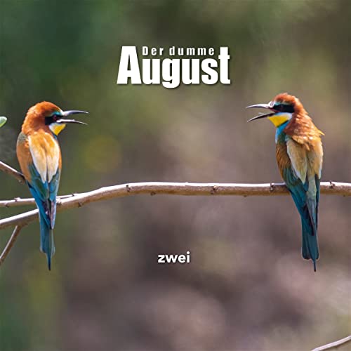 Zwei (Lim.Ed./Orange Vinyl/Download) [Vinyl LP] von Bakraufarfita Records (Broken Silence)