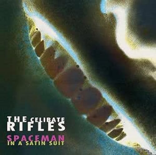 Spaceman in a Satin Suit [Vinyl LP] von BANG