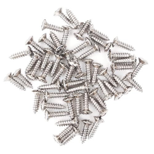 Banworks Schrauben-Set für die Rückplatte von E-Gitarre und Bass, 3 mm (1/8 Zoll), Kreuzschlitz, ovaler Kopf, Schlagbrett-Befestigungsschrauben, 50 Stück, JT/LSD-01, Chrom von Banworks