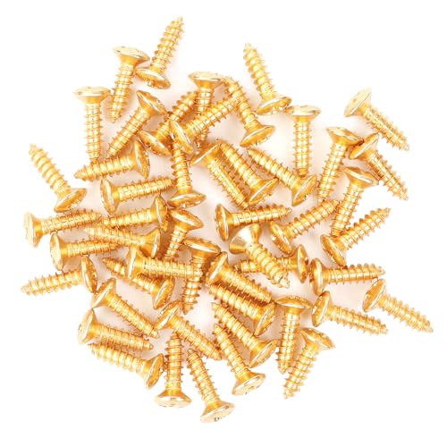 Banworks Schrauben-Set für die Rückplatte von E-Gitarre und Bass, 3 mm (1/8 Zoll), Kreuzschlitz, ovaler Kopf, Schlagbrett-Befestigungsschrauben, 50 Stück, JT/LSD-01, golden von Banworks