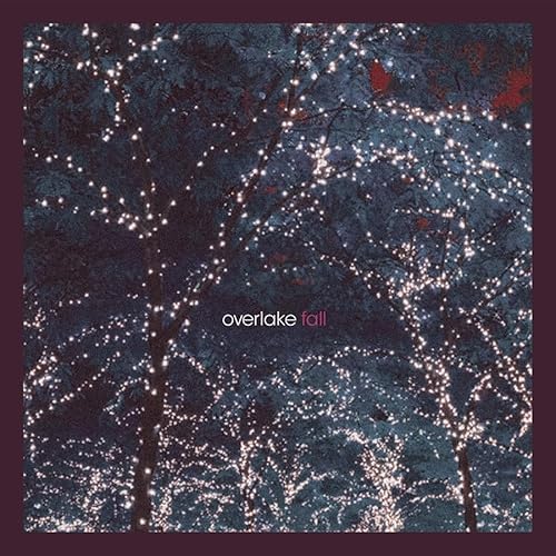 Fall [VINYL] [Vinyl LP] von Bar/None Records