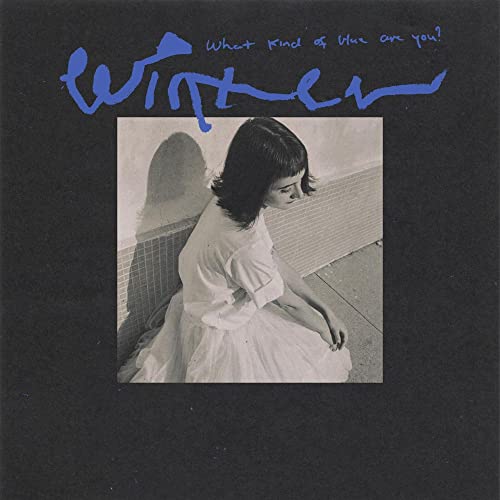 What Kind of Blue Are You? [Vinyl LP] von Bar/None Records
