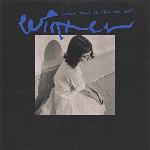 What Kind of Blue Are You? [Vinyl LP] von Bar/None Records