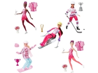 Barbie Winter Sports (1 pcs) - Assorted von Barbie