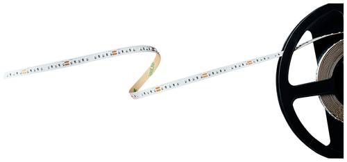 Barthelme Basic 120 51540911 LED-Streifen mit offenem Kabelende 24V 5m Rot 1St. Barthelme Basic 120 51540911 LED-Streifen mit offenem Kabelende 24V 5m Rot 1St. von Barthelme