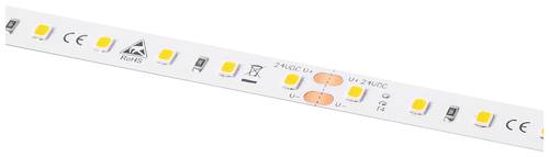 Barthelme LEDlight flex 12 10 LITE 1000, Rolle 500cm 50414233 LED-Streifen 24V 500cm Warmweiß 5m von Barthelme