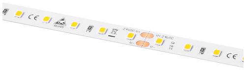 Barthelme LEDlight flex 16 10 LITE RGB, Rolle 500cm 50415331 LED-Streifen 24V 500cm RGB 5m Barthelme LEDlight flex 16 10 LITE RGB, Rolle 500cm 50415331 LED-Streifen 24V 500cm RGB 5m von Barthelme