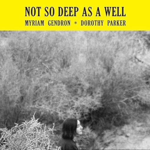 Not So Deep As a Well [Vinyl LP] von Basin Rock / Indigo