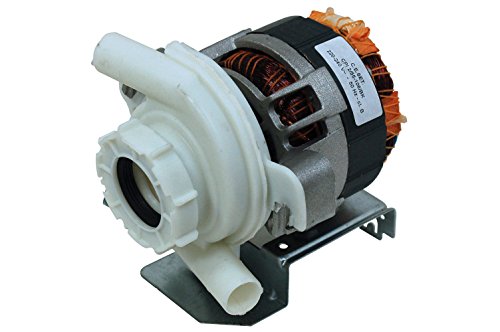 Bauknecht Geschirrspüler Rückförderpumpe Motor. Original-Teilenummer 481236158007 C00315329 Bauknecht Geschirrspüler Rückförderpumpe Motor. Original-Teilenummer 481236158007 C00315329 von Bauknecht