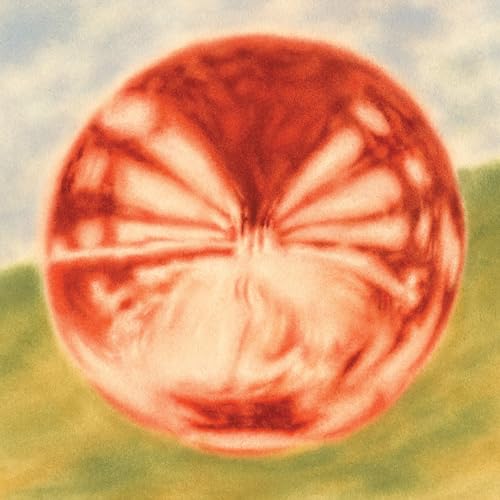 Heart of the Artichoke von Bayonet Records