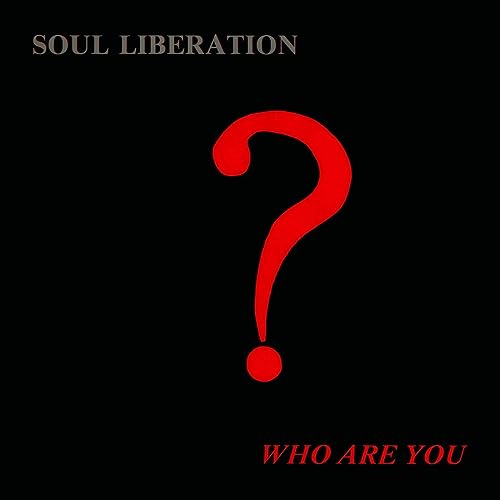 Who Are You? [Vinyl LP] von Bbe (Membran)