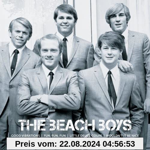 Icon von Beach Boys