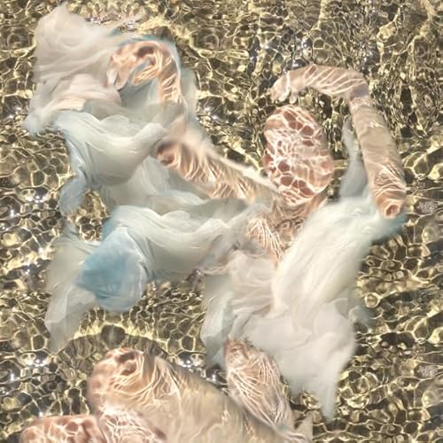 Body Of Water [Vinyl LP] von Beacon Sound