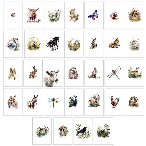32 x Grußkarten mit britischem Motiv, Aquarellfarben, blanko, mit Umschlägen (British Wildlife) von Bear and Bee